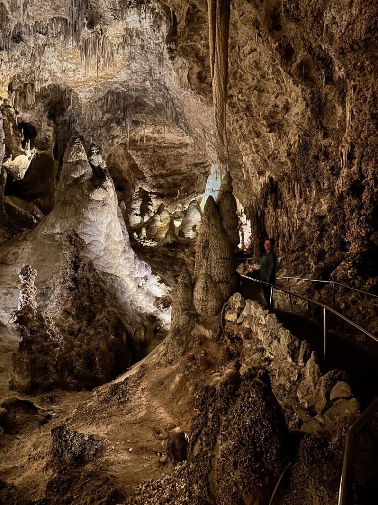 Stalactites, stalagmites, and columns inside Carlsbad Caverns National Park, New Mexico.