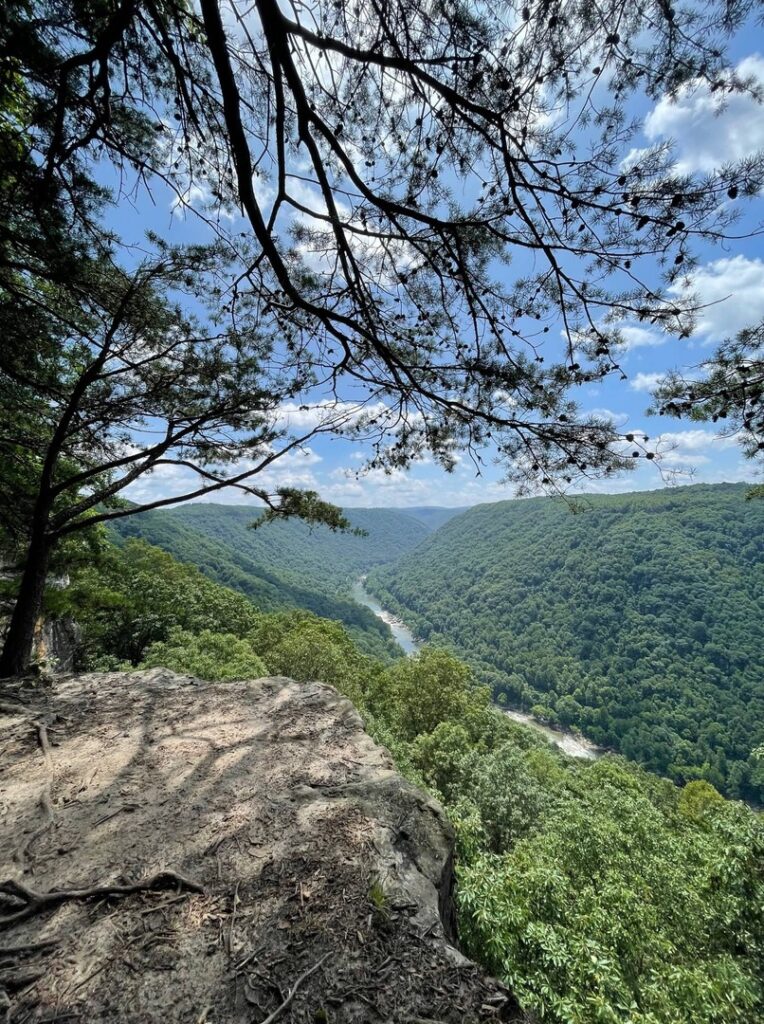 Views of the New River Gorge and New River while standing at a viewpoint on the Endless Wall Trail.