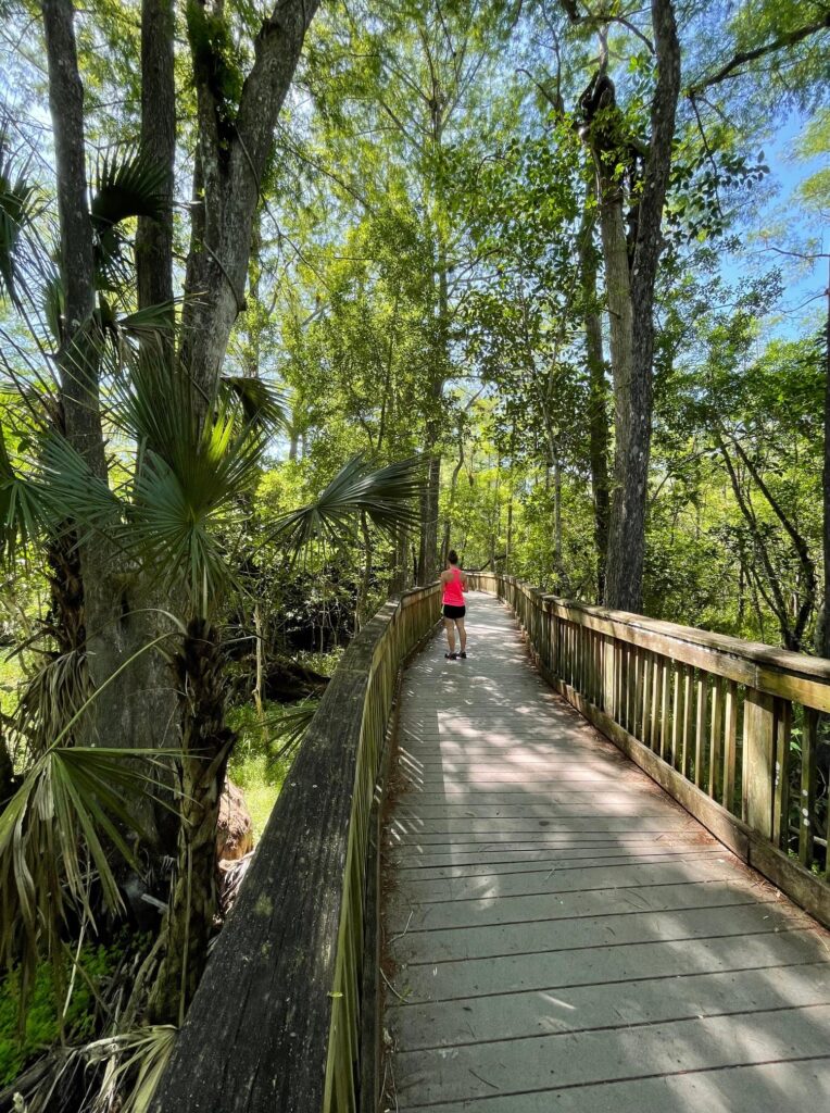 A hiker stands on the boardwalk at Kirby Storter Roadside Park.