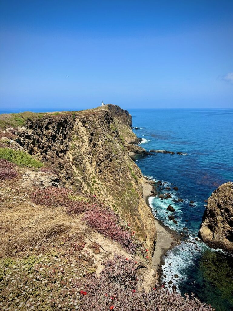 A tiny lighthouse in the distance at Pinniped Point on Anacapa Island.