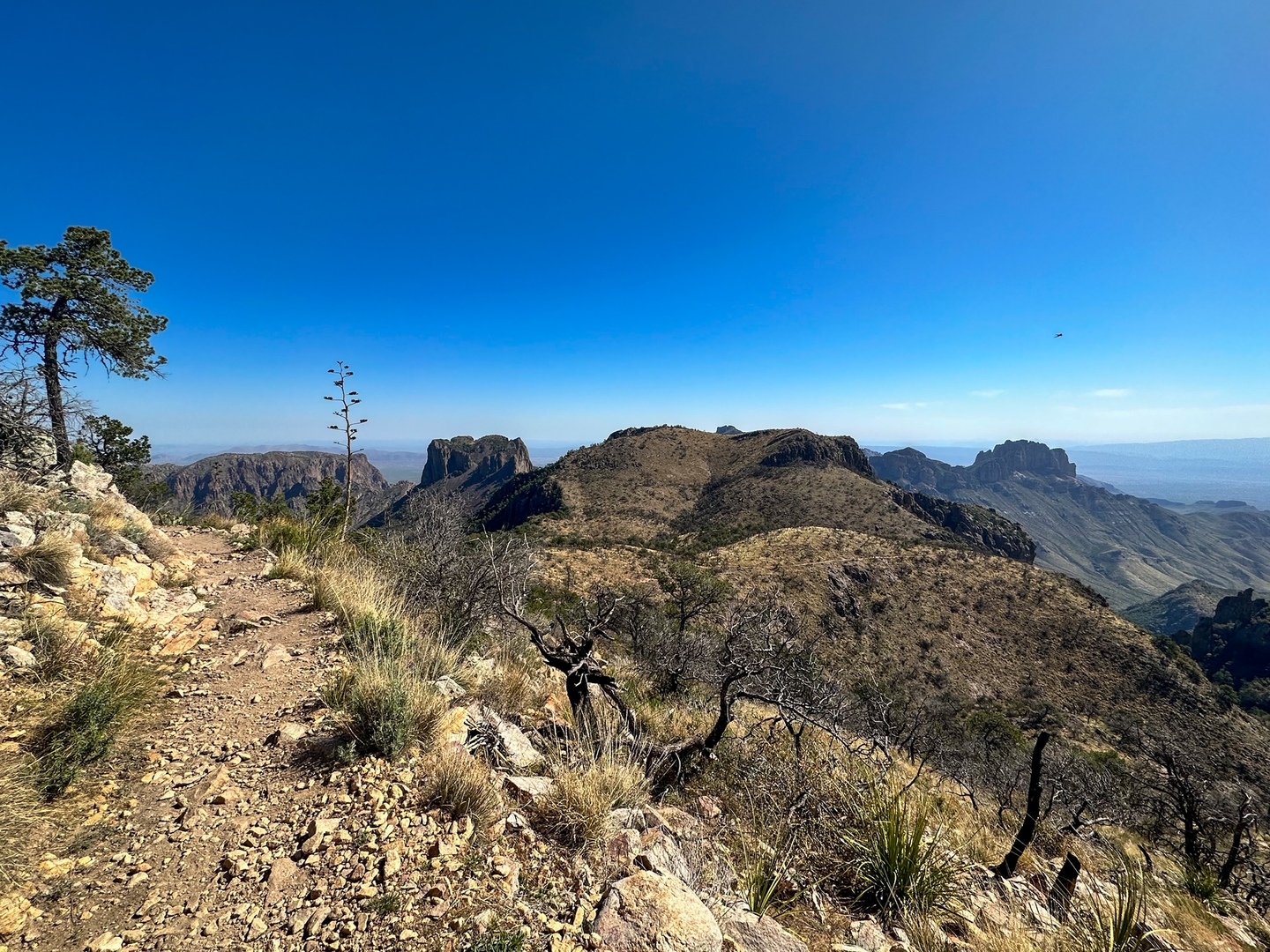 Big Bend National Park Itinerary: The Best 3-Day Hiking Guide