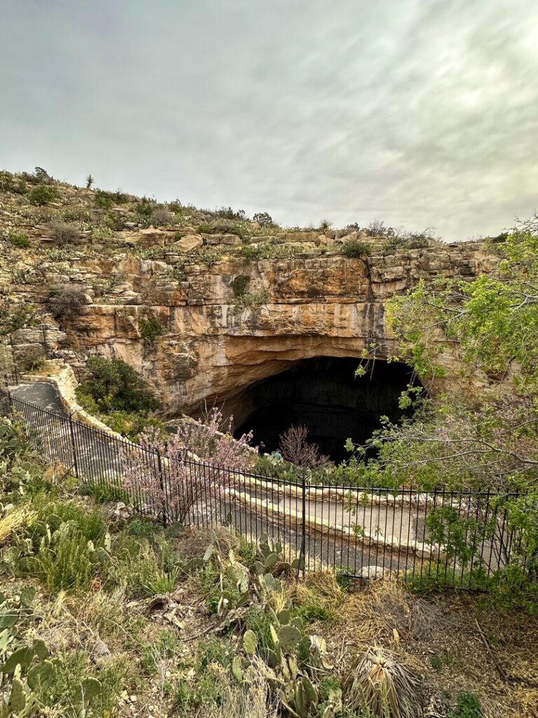 The natural entrance of Carlsbad Caverns, New Mexico.