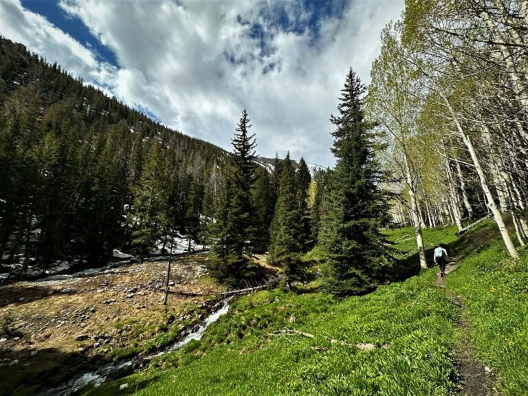 Pine trees as well as the mountains off in the distance under blue skies at Great Basin.