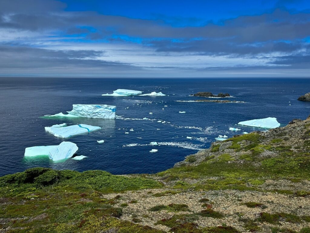 Icebergs in Twillingate floating in Sleepy Cove along the coast.