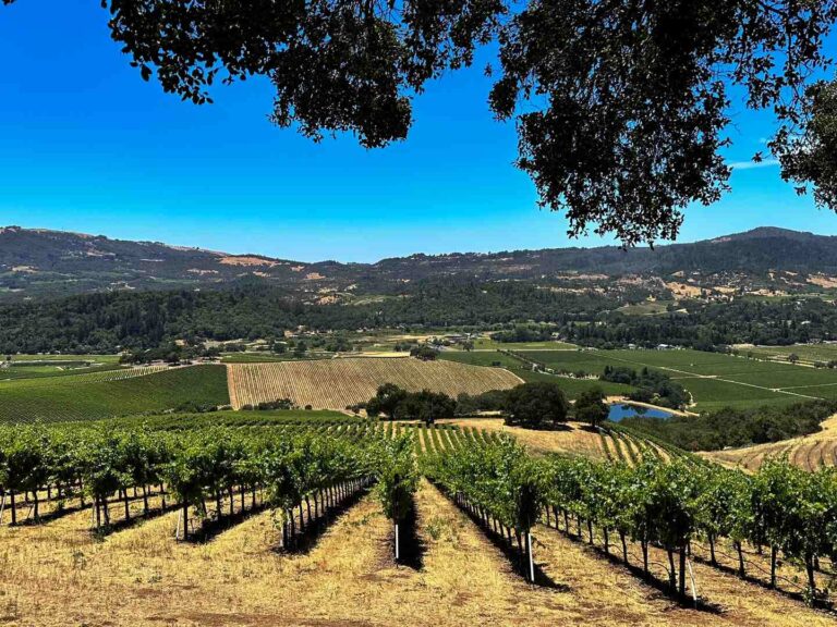 How To Plan Your Perfect Day Trip To Sonoma: Kunde Family Winery