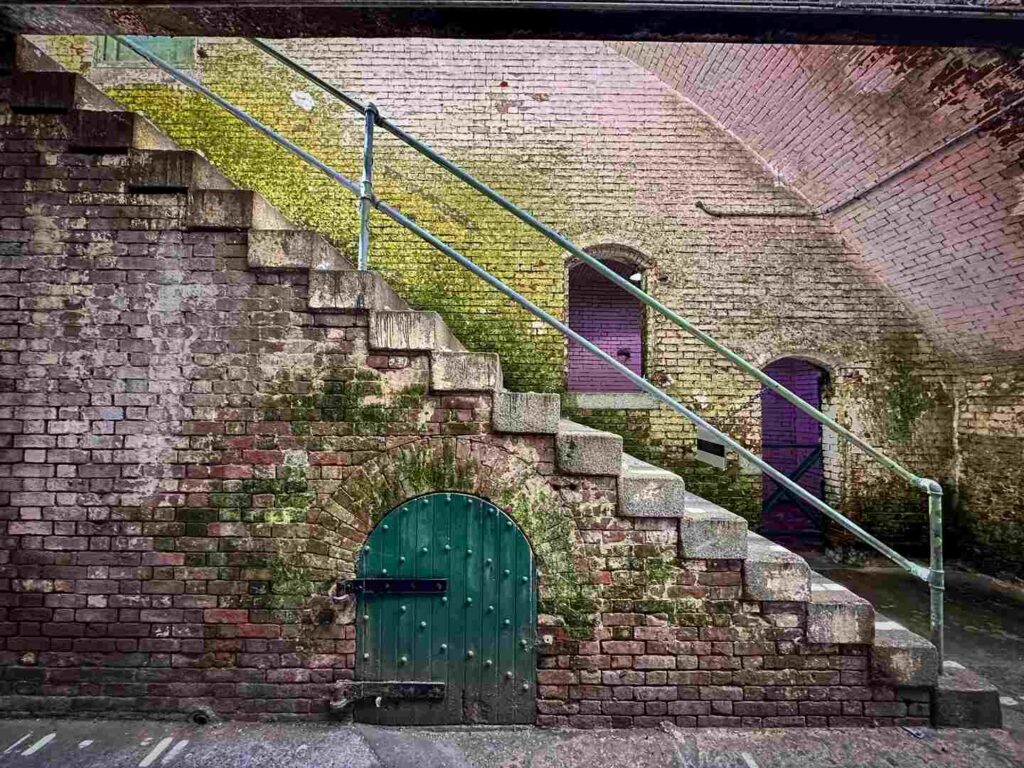 Inside an old Alcatraz building looking at the side of a staircase covered in green moss.