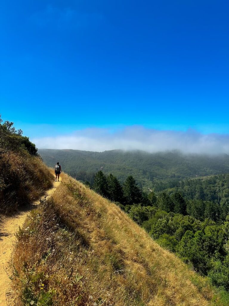 A hiker on a ridge trail overlooking a Redwood forest with fog rolling in at Muir Woods.