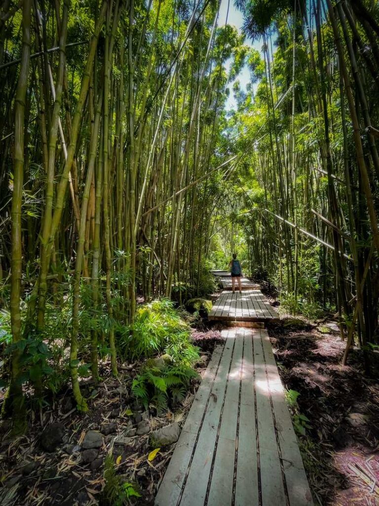 Pipiwai Trail To Waimoku Falls: Haleakalā National Park Hiking