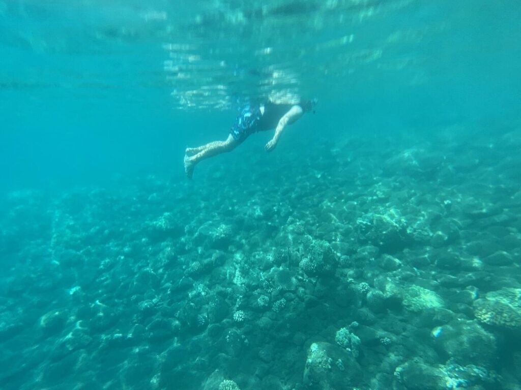 A snorkeler in the blue waters snorkeling in Honolua Bay.