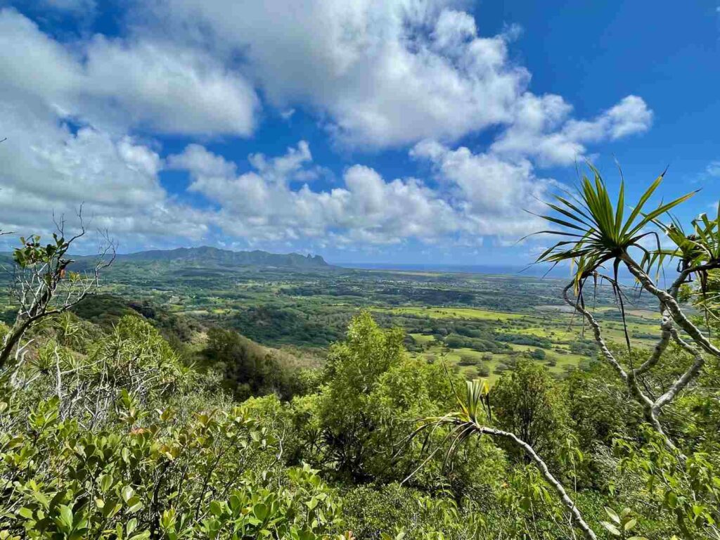 A view at the summit of the Nounou East Trail in Kauai.