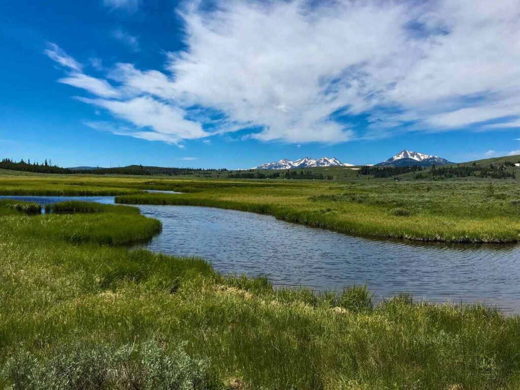 A view of the small ponds and streams along the Bunsen Peak Trail near the start of the hike.