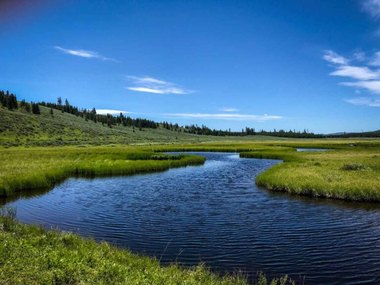 Bunsen Peak Trail: A Stunning Yellowstone Hike with Panoramic Views