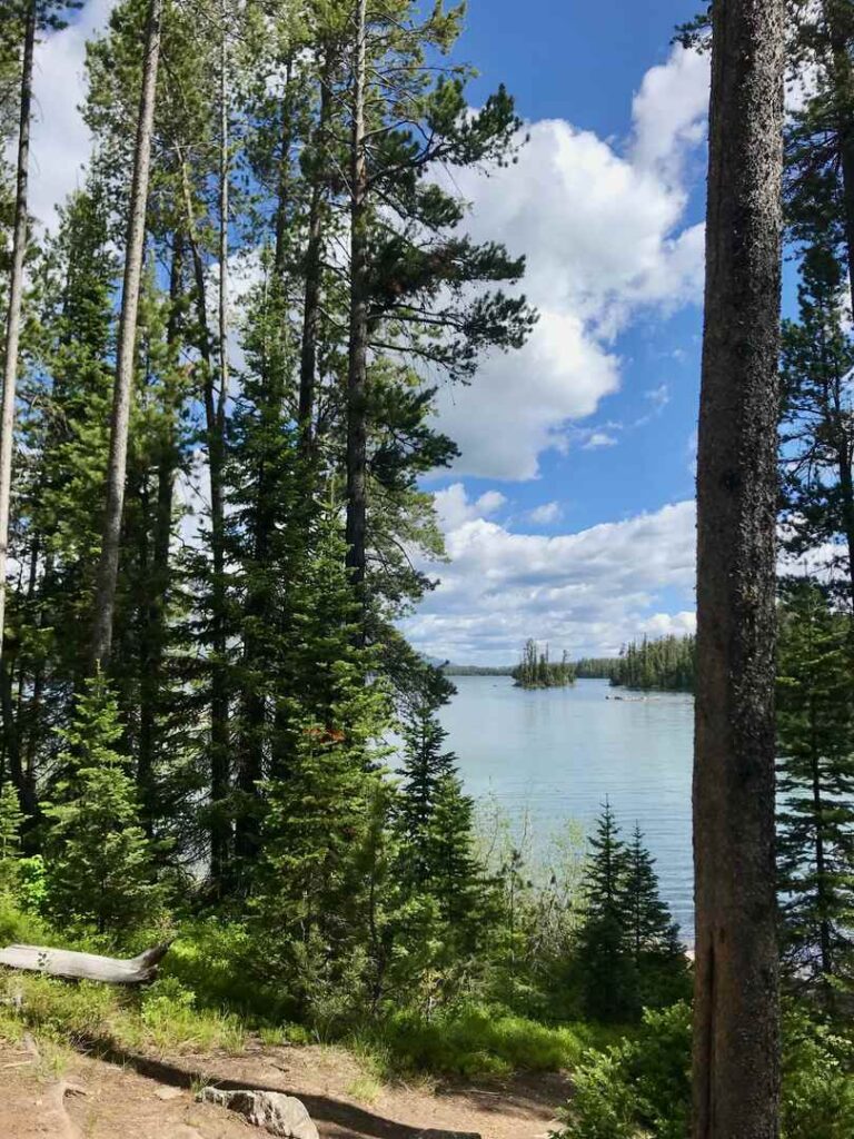 A view of Leigh Lake through the trees along the trail at the Grand Tetons.