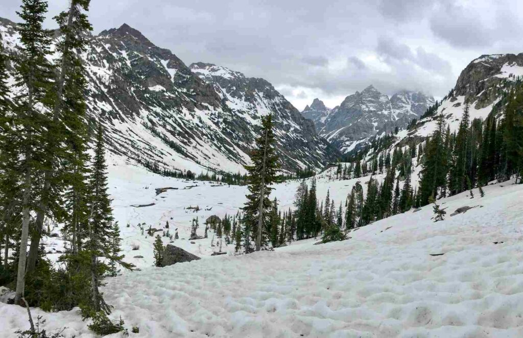 A snow covered scene on the North Fork Cascade Canyon Trail while hiking to Lake Solitude.
