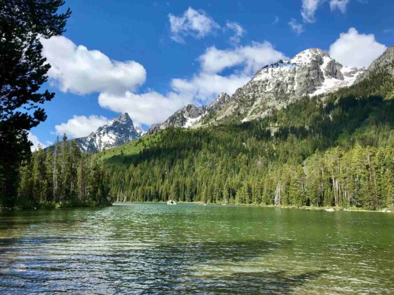 Easy Hikes in Grand Teton National Park: How To Visit Leigh Lake & More