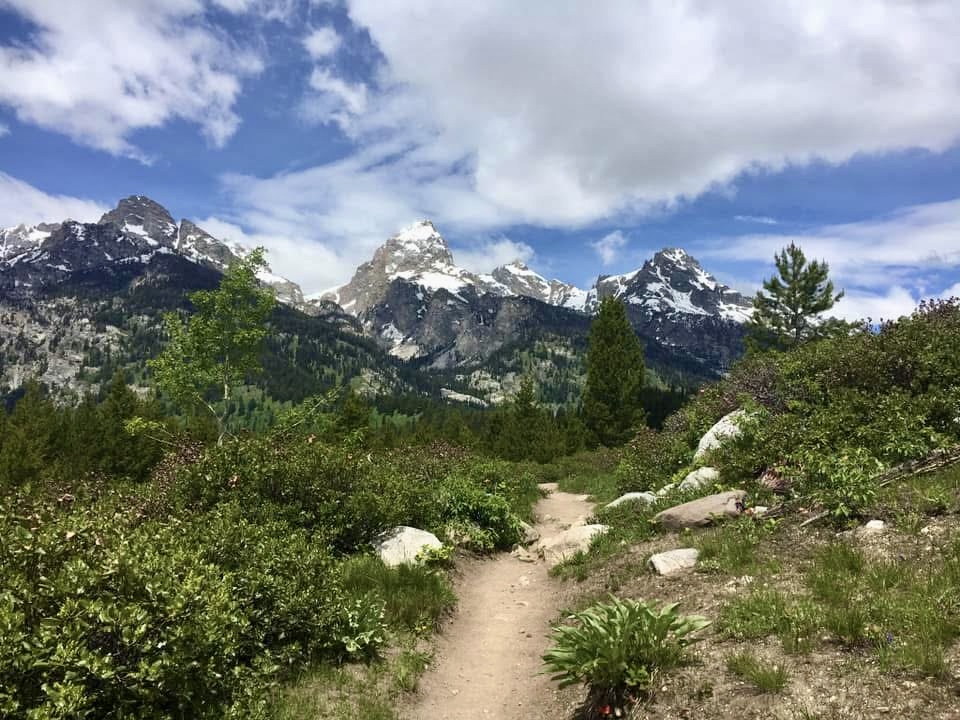 A view of the Grand Tetons on the way to Bradley Lake.