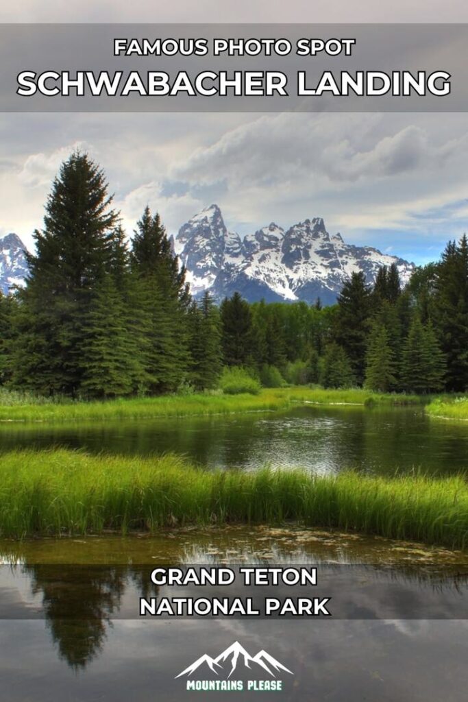 Schwabacher Landing Trail Pin to post on Pinterest featuring one photo.