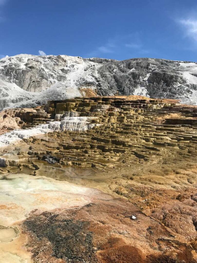 The colorful terraces at Mammoth Hot Springs in Yellowstone.