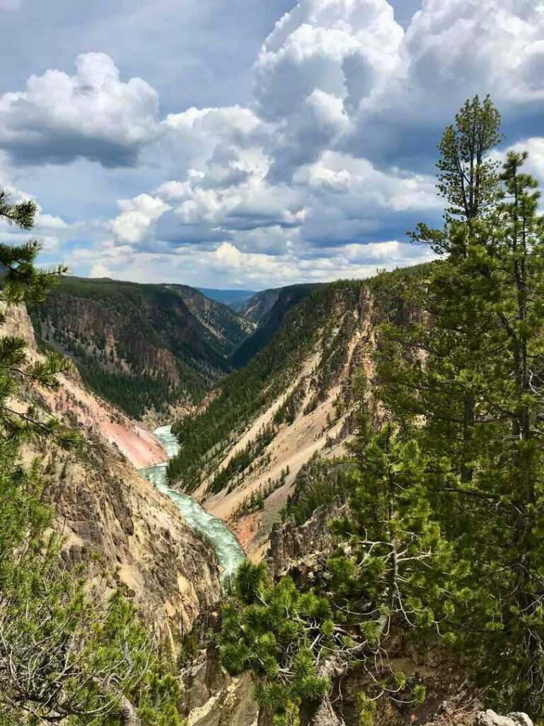 A view of the river and canyon on the trails heading to Artist Point in Yellowstone.