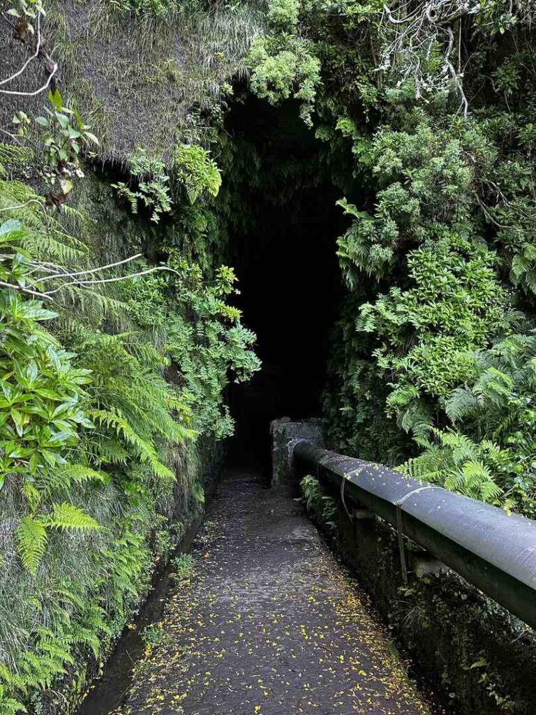 The dark tunnel entrance of PR6.6 - Vereda do Túnel do Cavalo in Madeira, Portugal.
