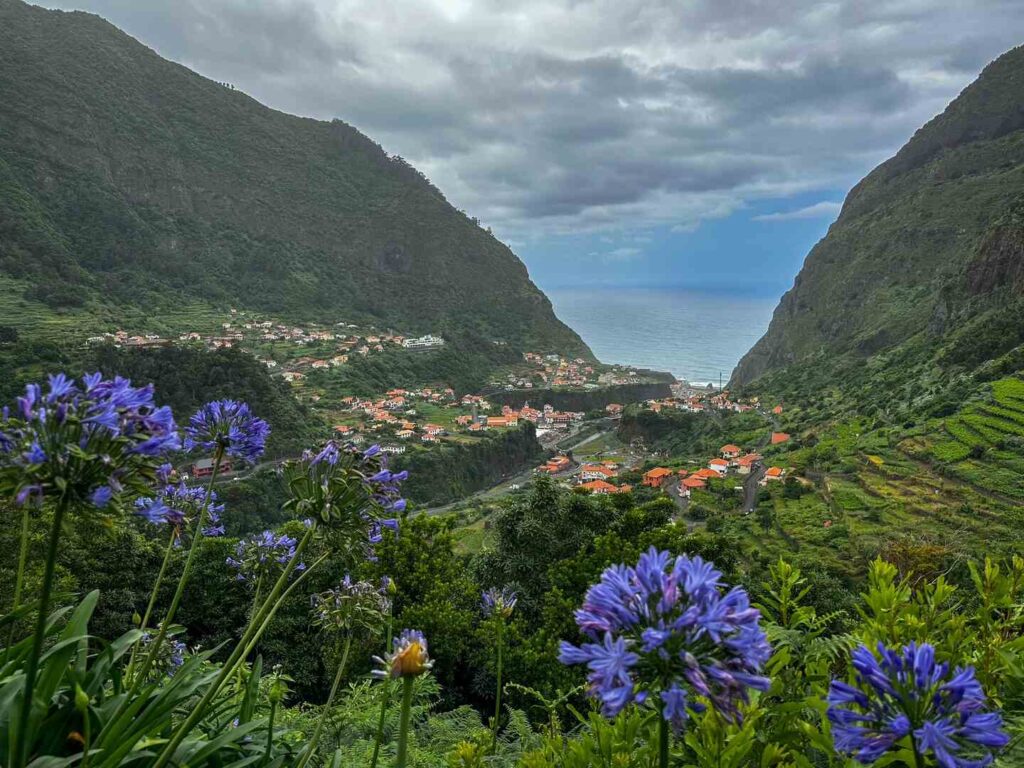 Purple flowers and a birds eye view of the valley looking out into the ocean, Madeira.