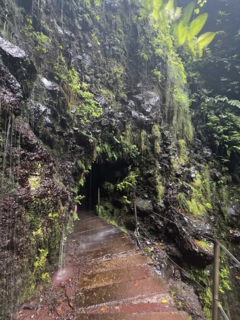 Water pouring down over the entrance to the long tunnel on the Levada Fajã do Rodrigues hike.