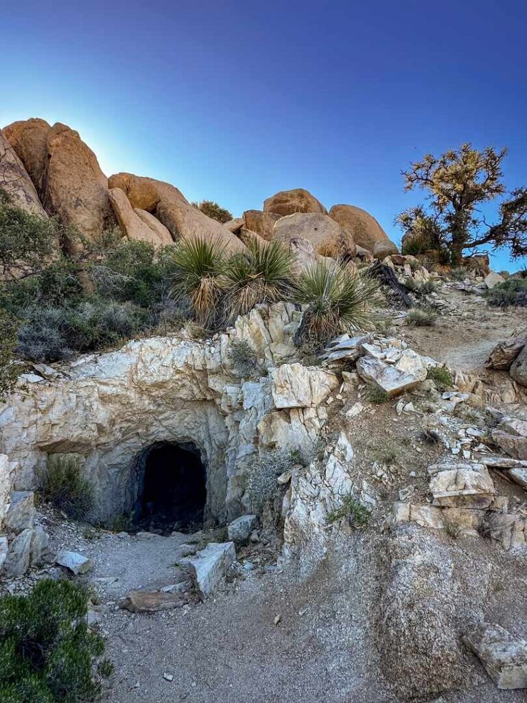 A perfect looking classic mine entrance that is walled off along the Eagle Cliff Mine Trail.
