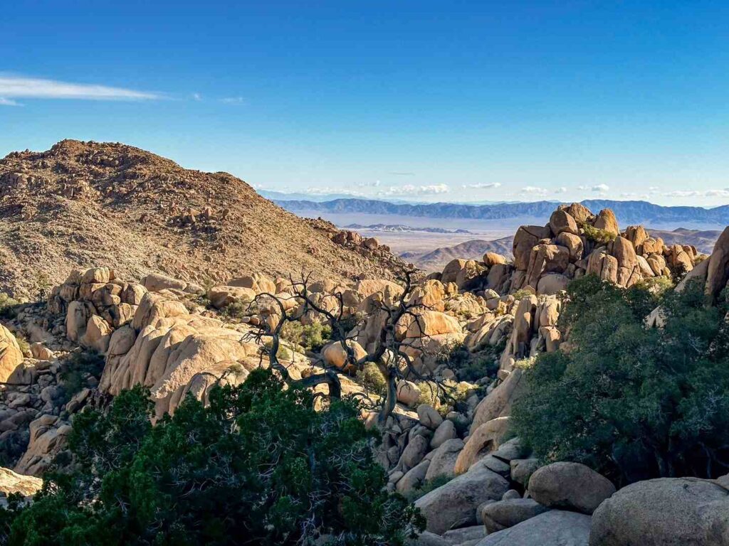 A view of the expansive desert valley from the rear of the Eagle Cliff Boulder House.