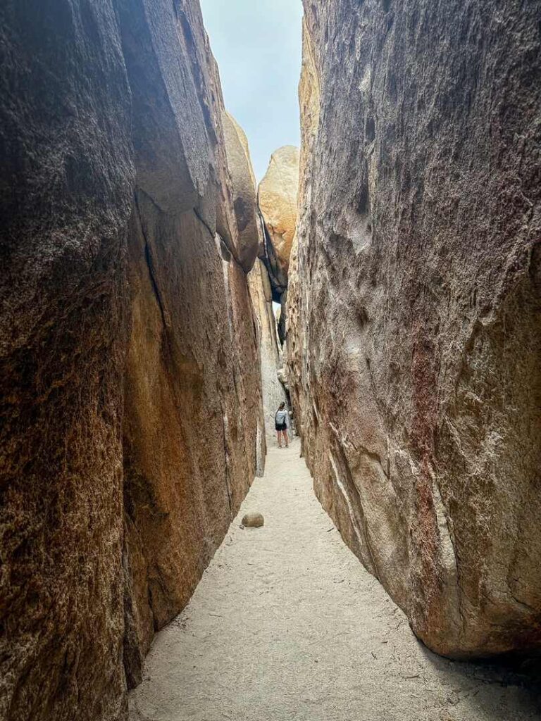 A hiker standing in a narrow slot canyon with towering walls on both sides, Joshua Tree, California.