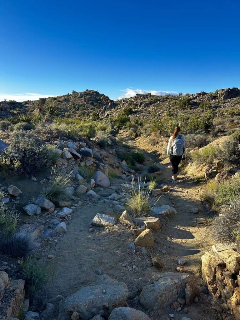 A hiker walks through the sand on the Desert Queen Mine Trail with small rocky hills in the distance.