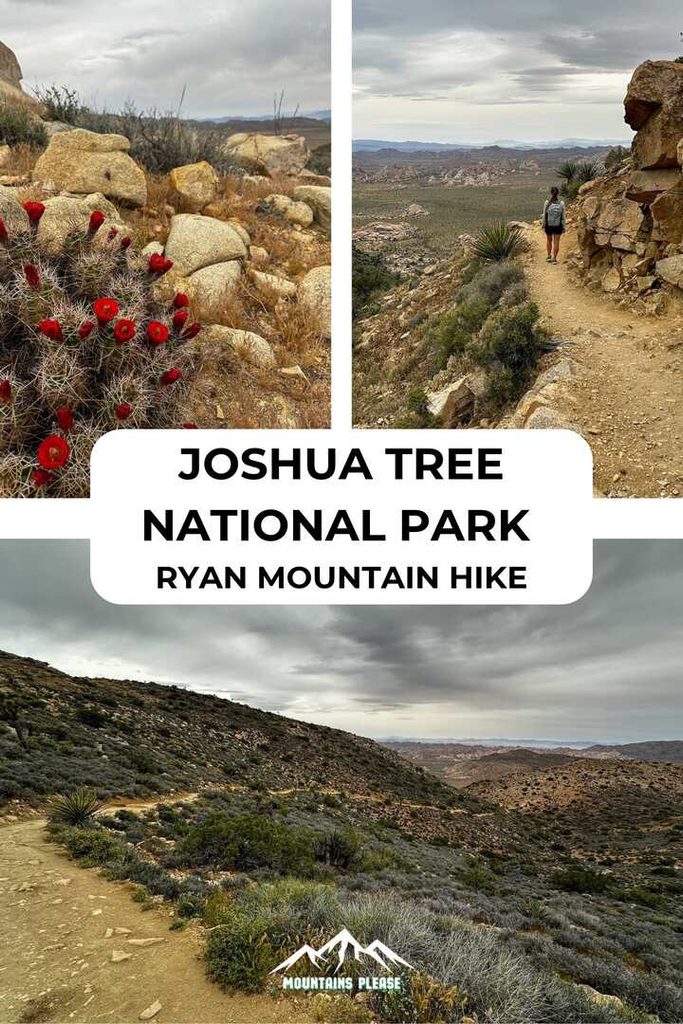 A second Pinterest Pin for Ryan Mountain, Joshua Tree.