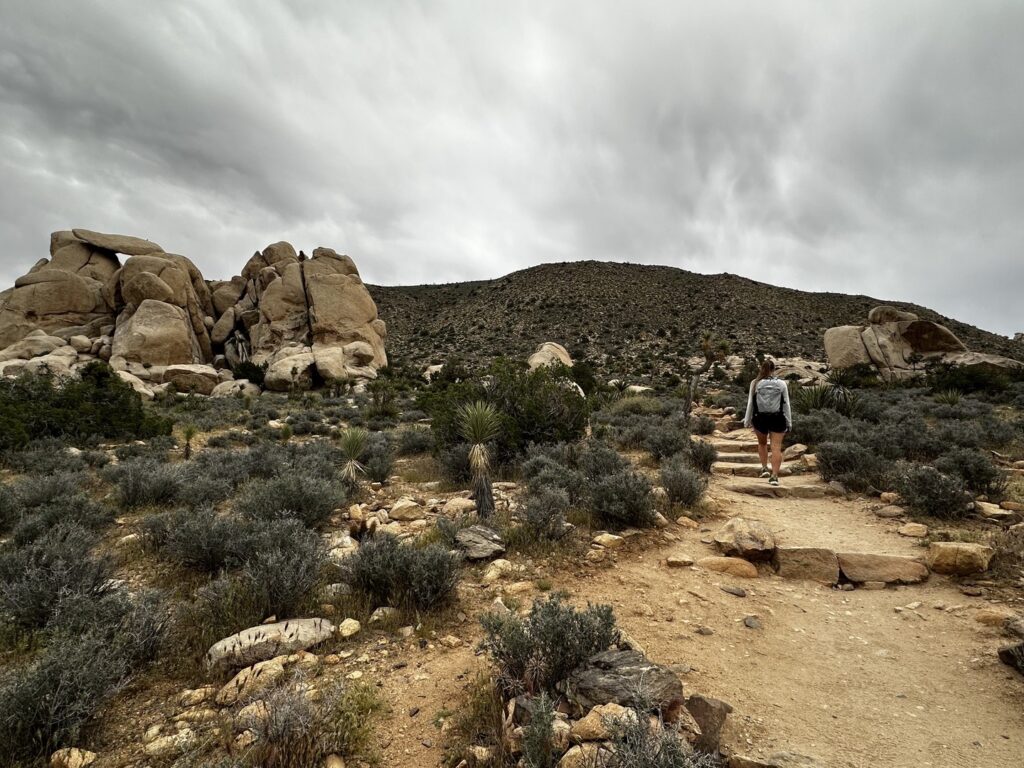 A hiker on at the start of the Ryan Mountain hike in Joshua Tree National Park.