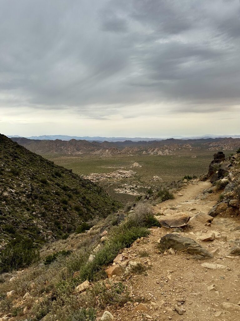 A view of the narrow trail on the hike to Ryan Mountain.