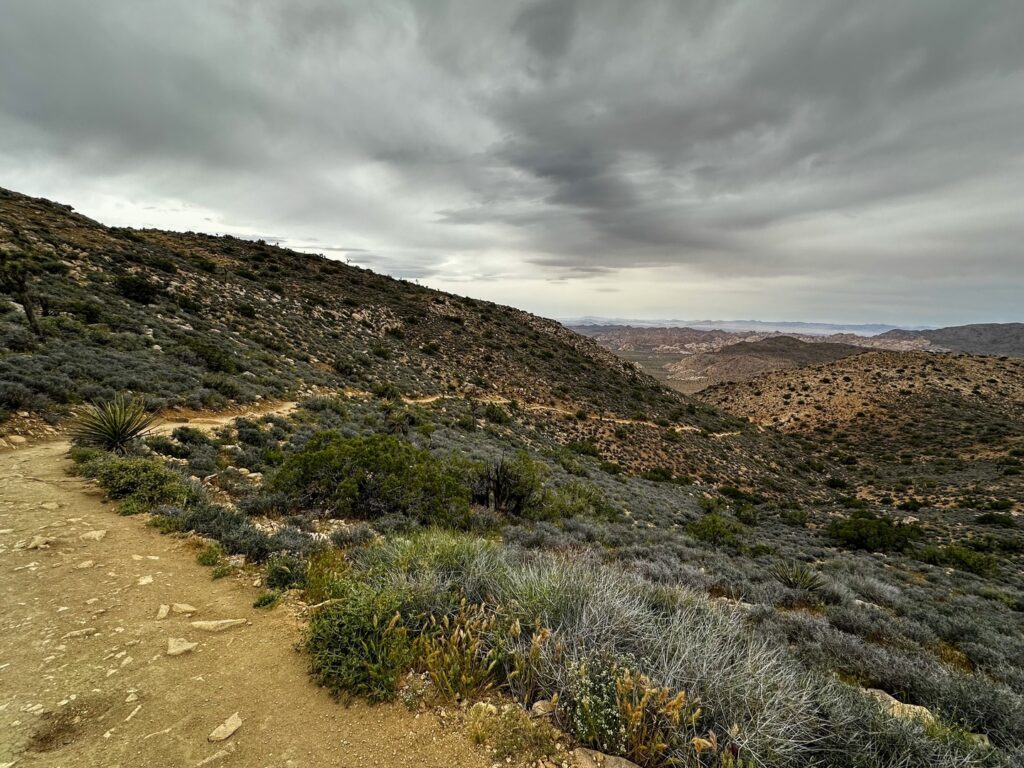 The narrow trail snakes down Ryan Mountain with desert landscape in the distance.
